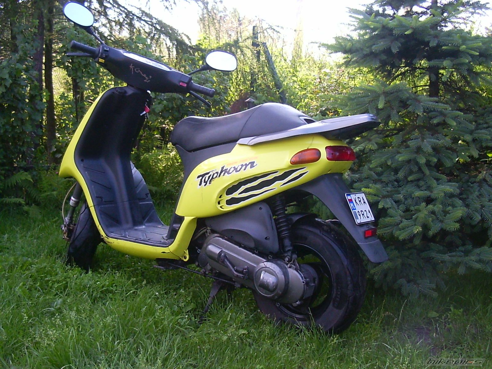Photo 1331095