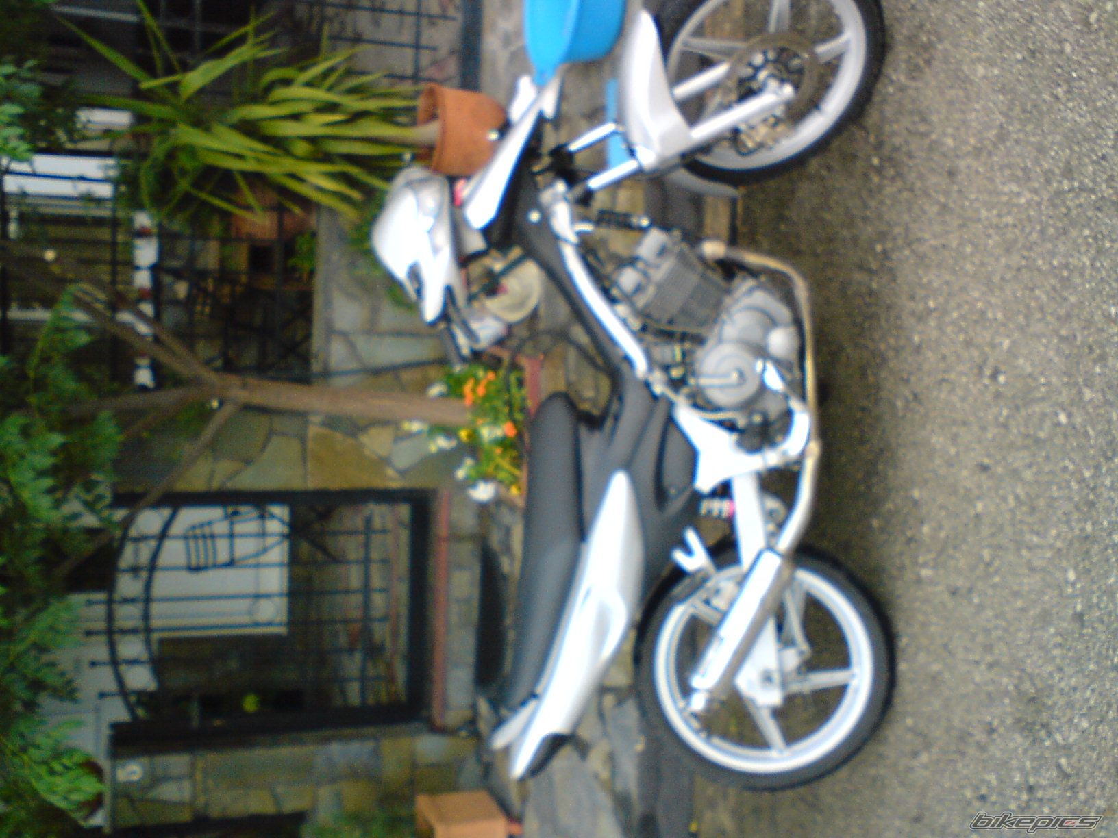 Photo 1331198