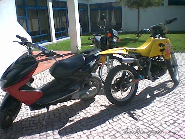 Photo 133120