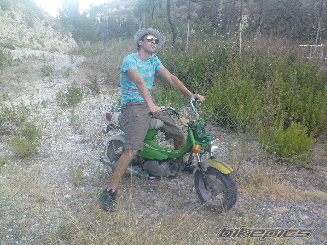 Photo 1331229