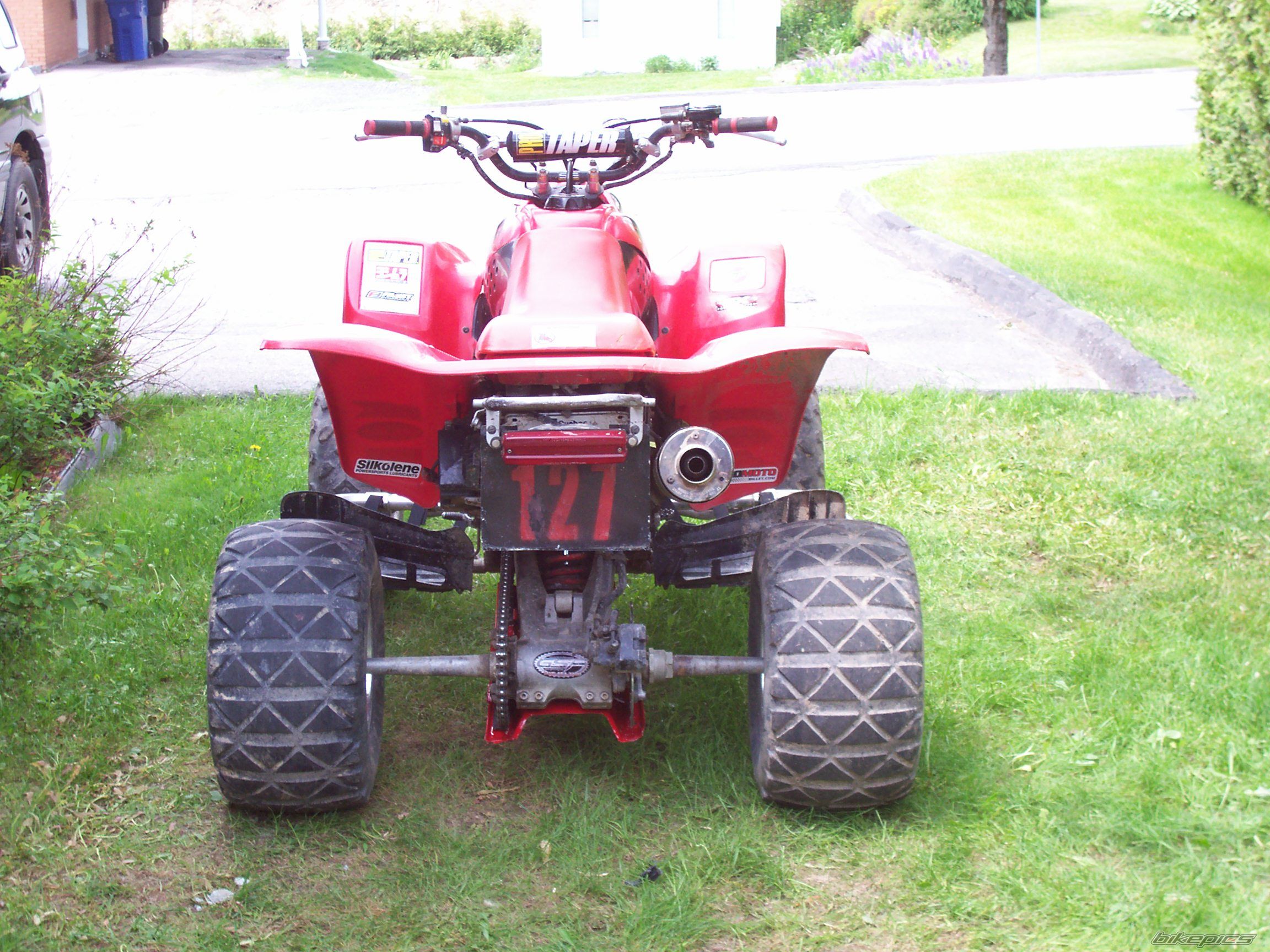Photo 1331286