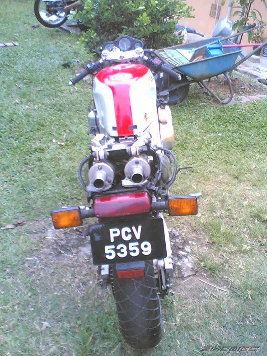 Photo 1331294