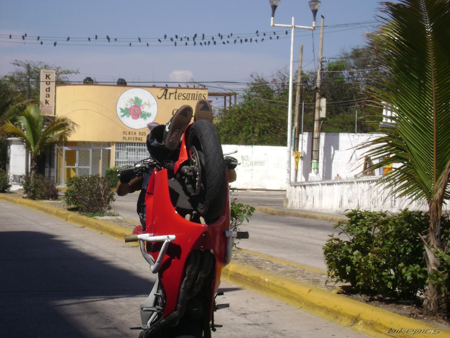 Photo 1331323