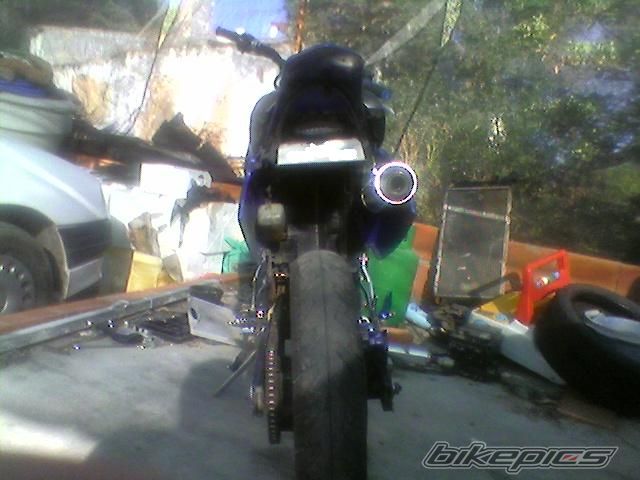 Photo 1331423