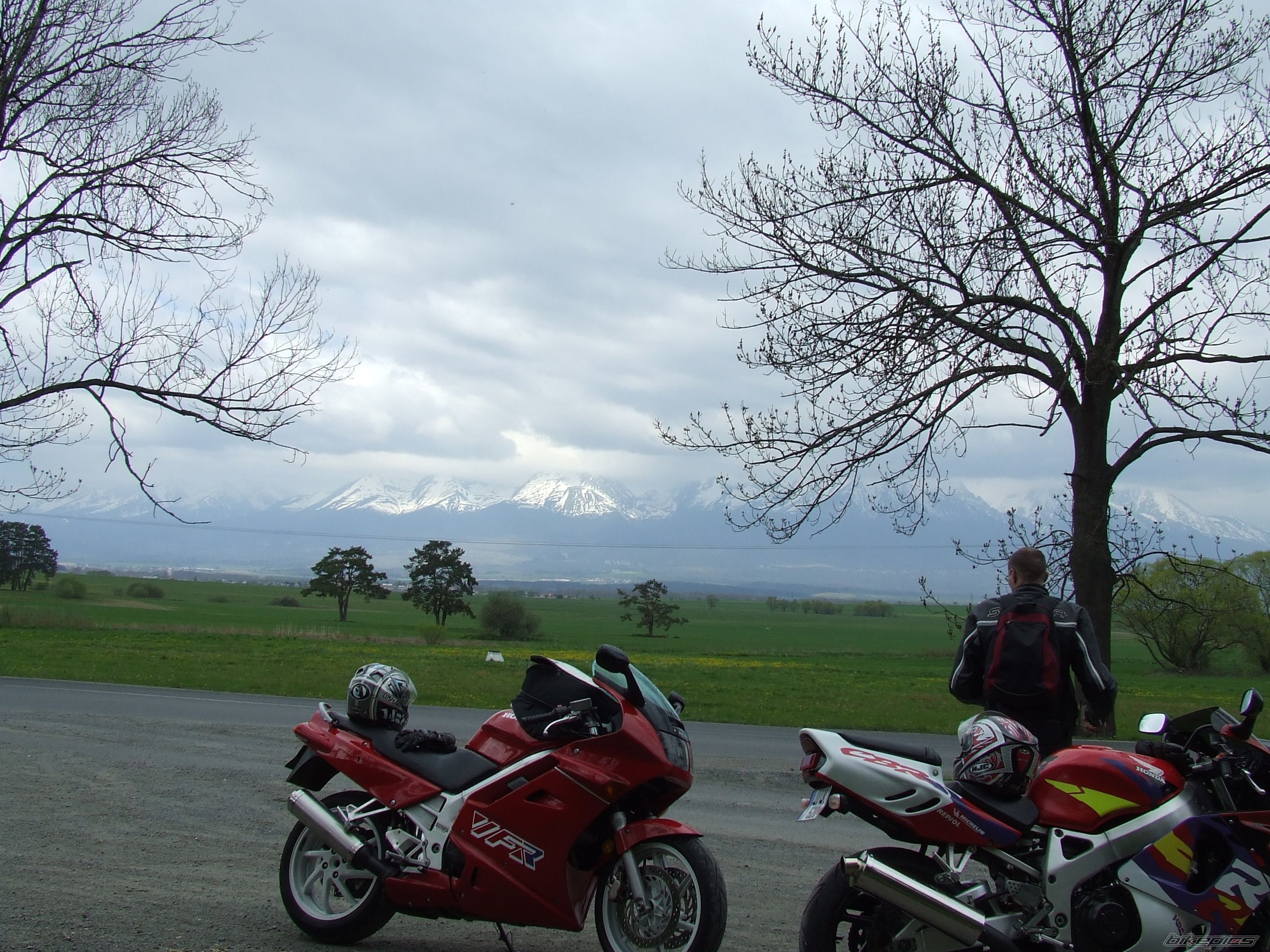 Photo 1331425