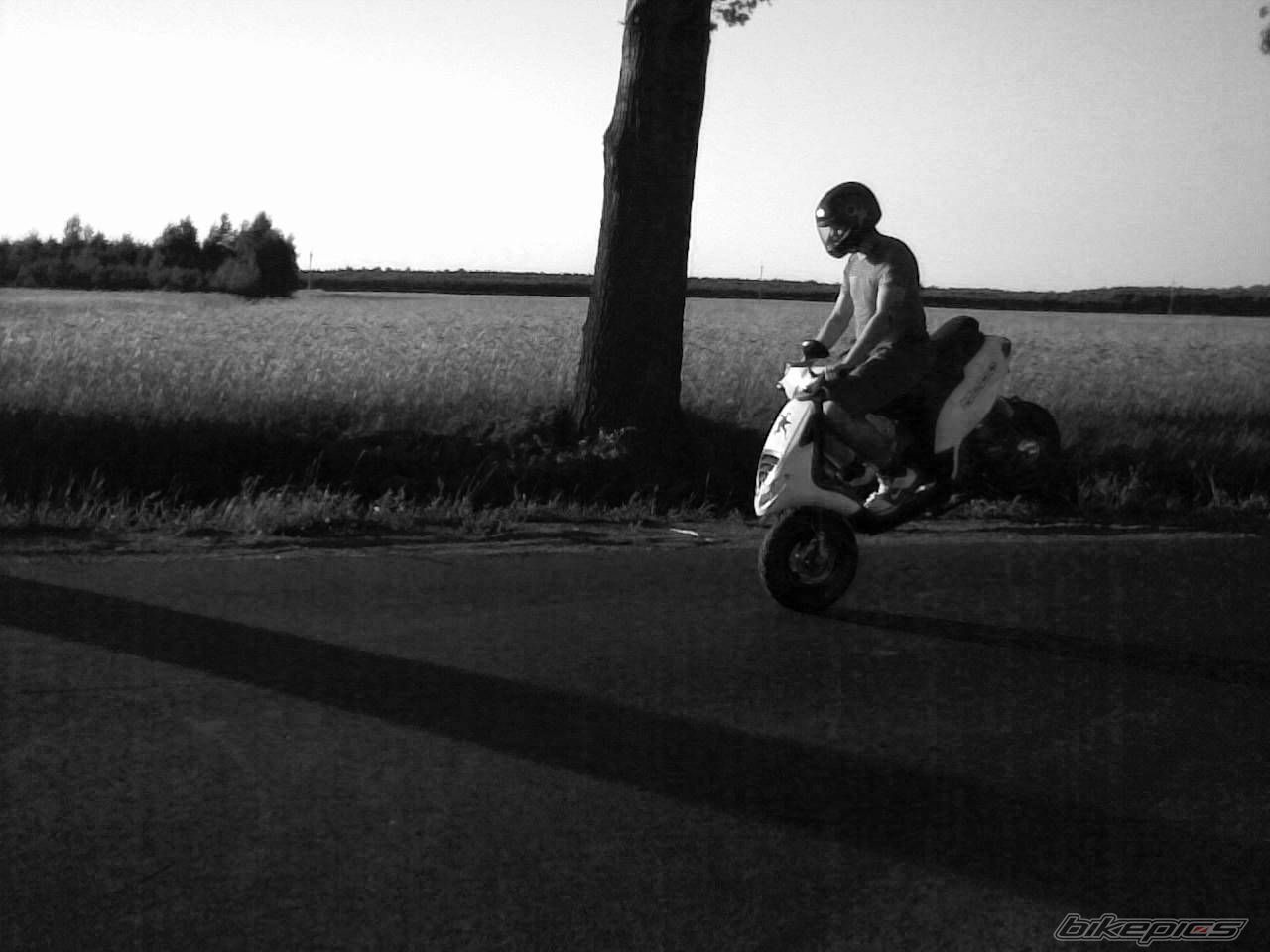 Photo 1331550