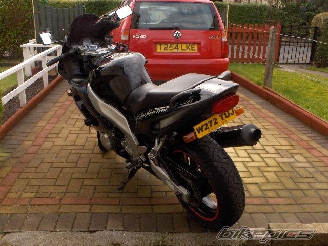 Photo 1331645