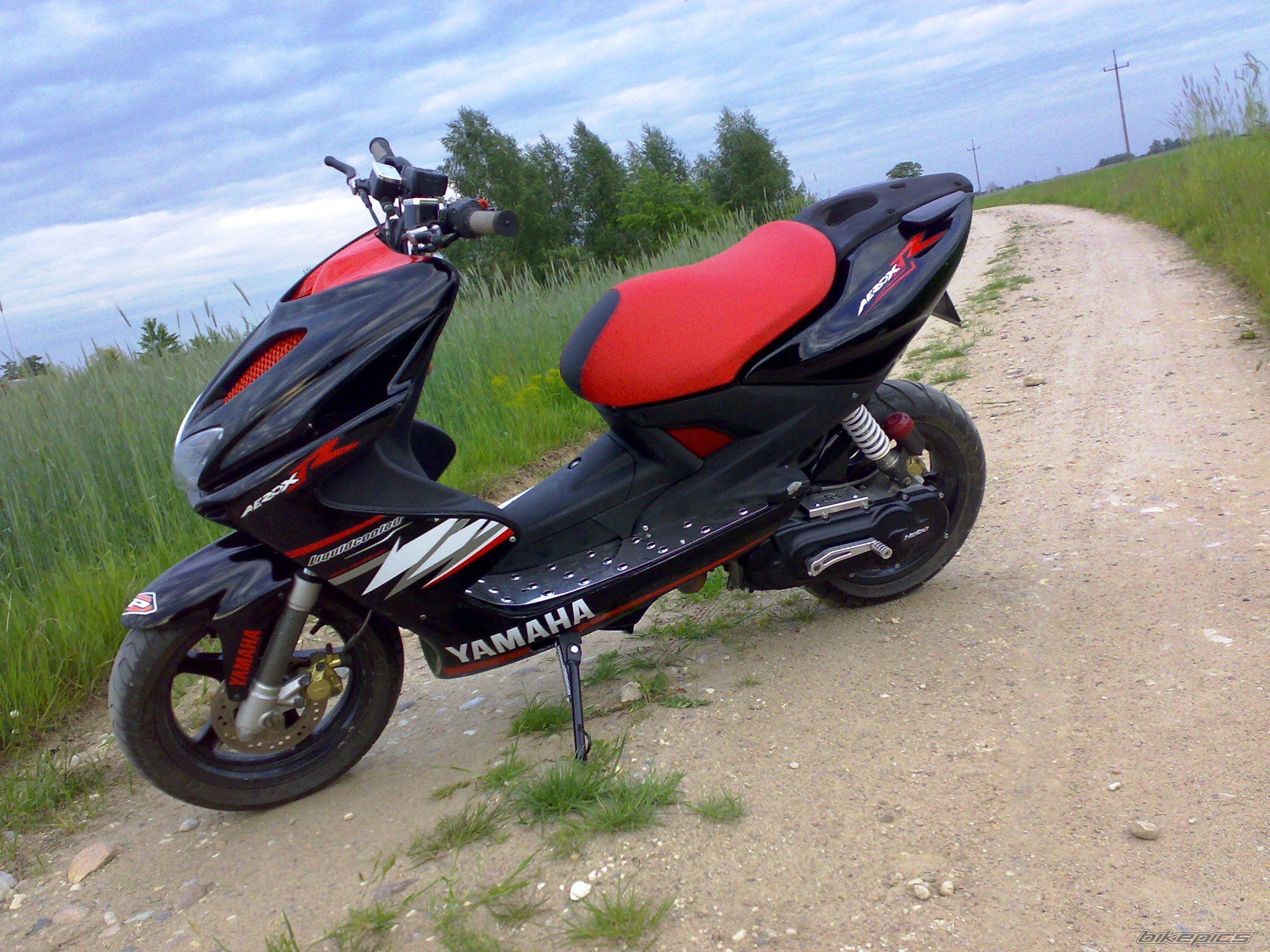 Photo 1331686