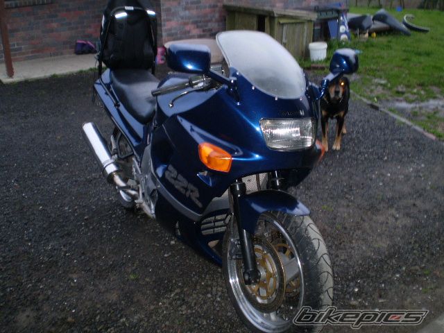 Photo 1331888