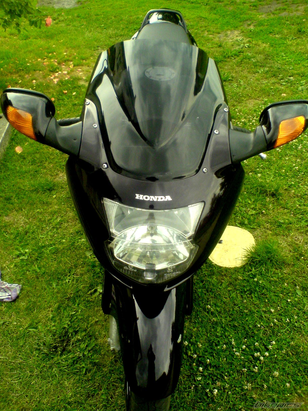 Photo 1331917