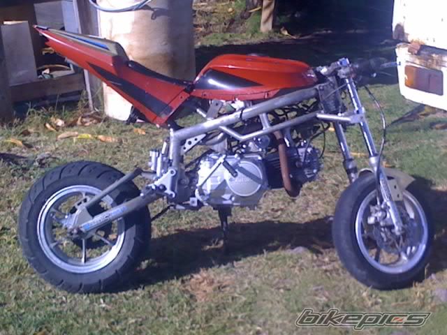 Photo 1331974