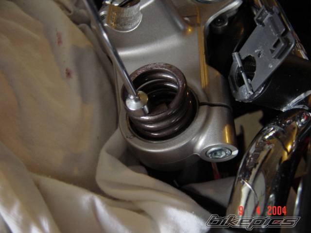 Photo 133198