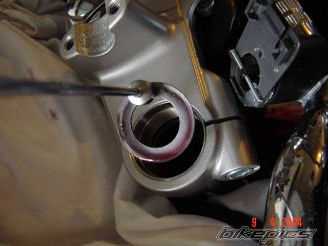 Photo 133199