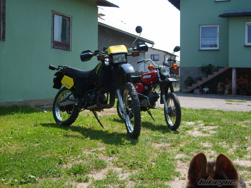 Photo 1332038