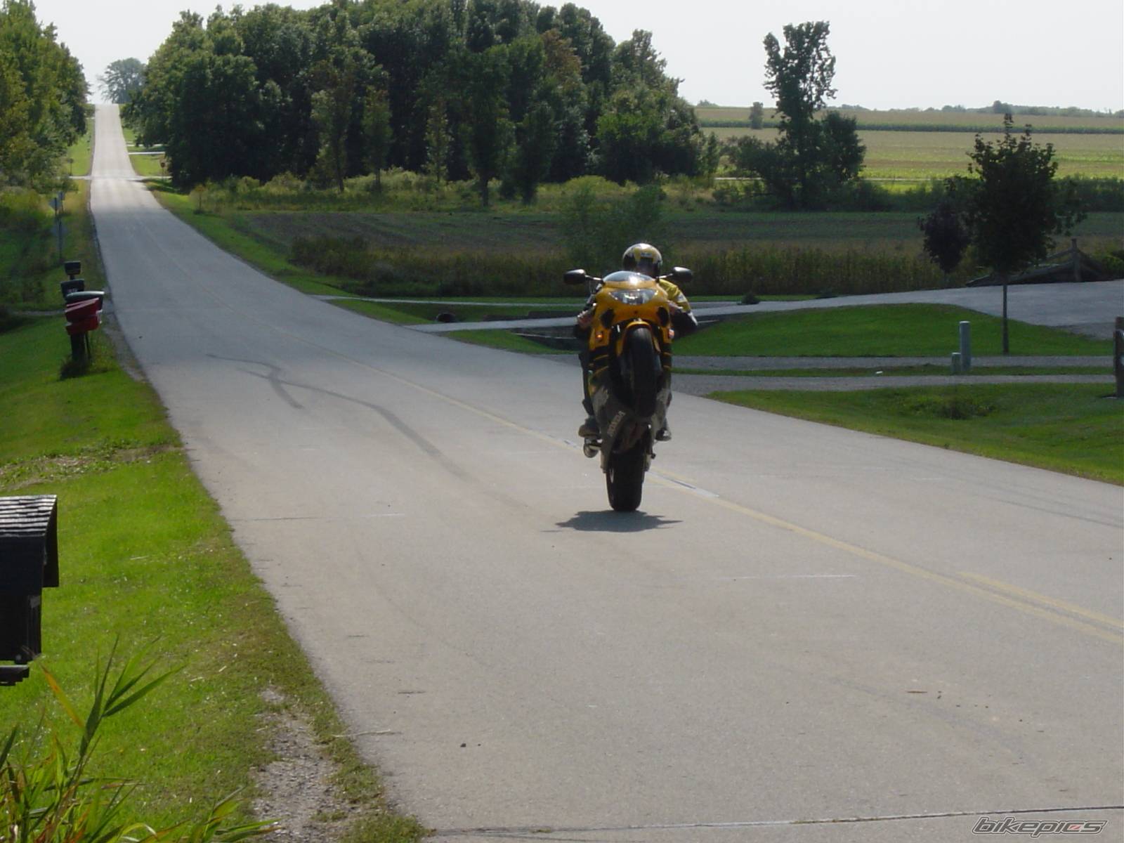 Bike Photo 133232