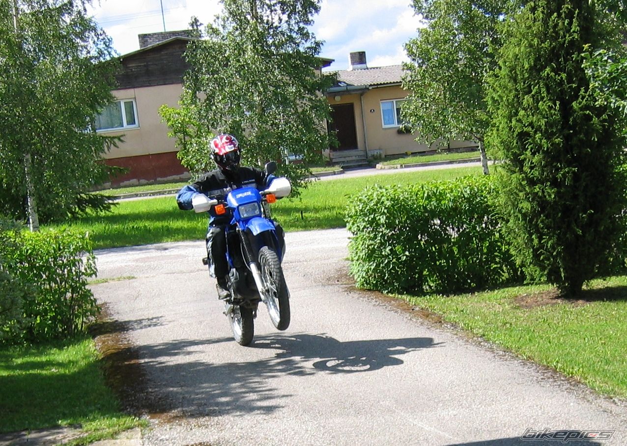 Photo 1332379