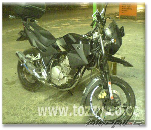 Photo 1332419