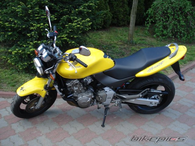 Photo 1332469