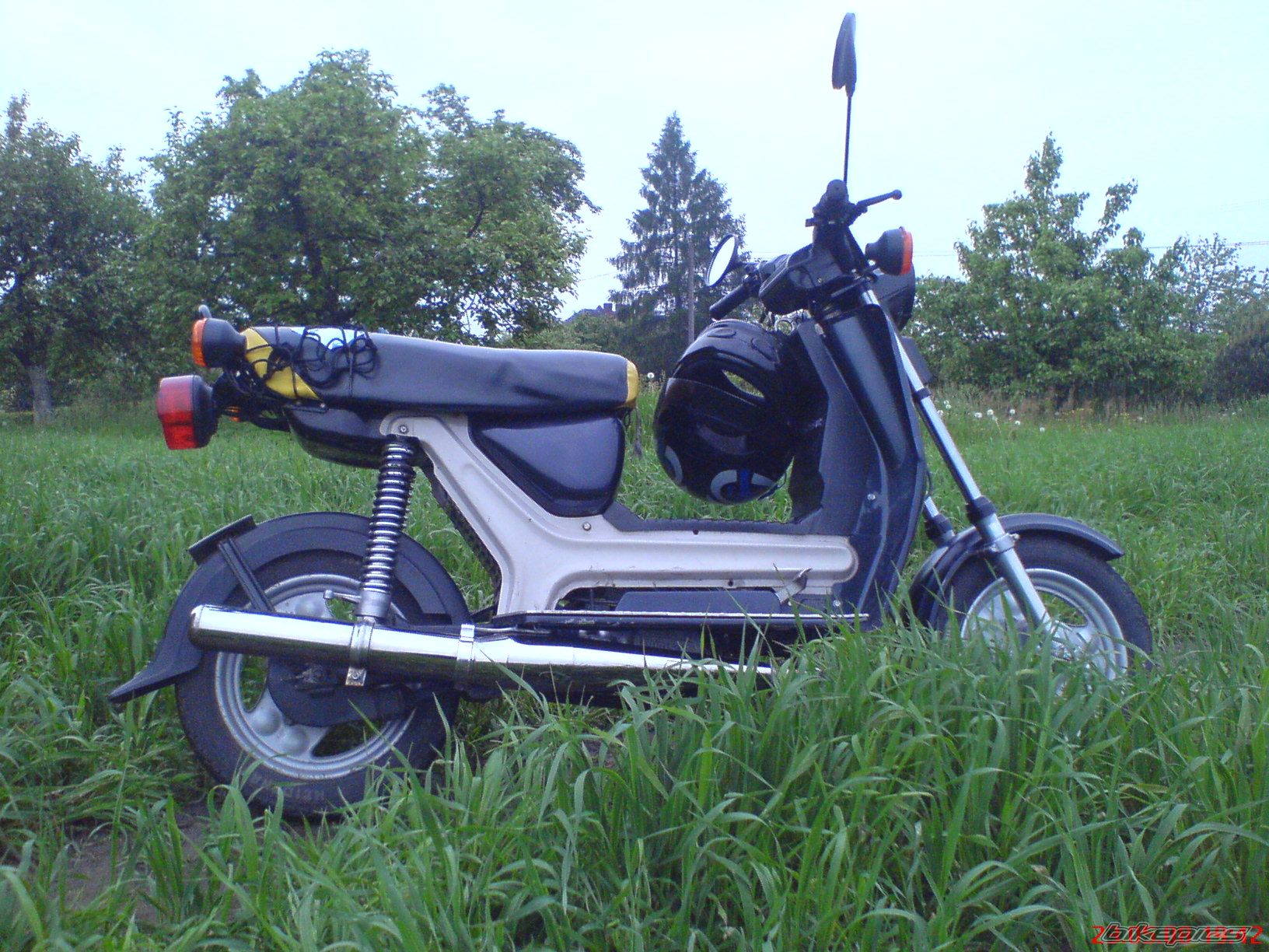 Photo 1332498