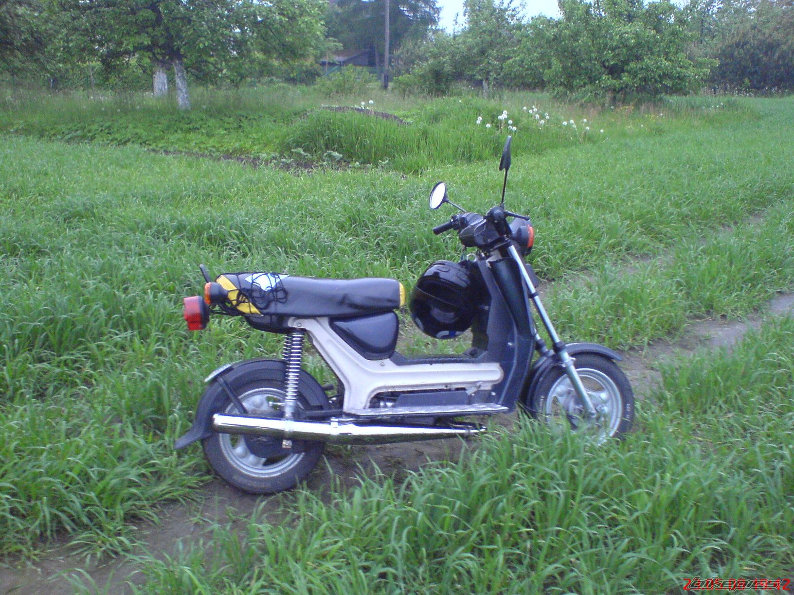 Photo 1332499