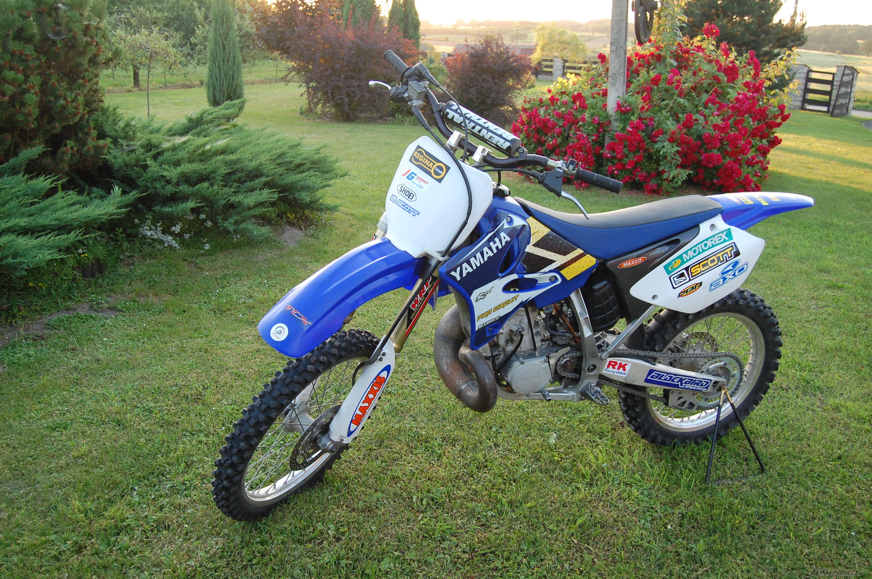 Photo 1332509