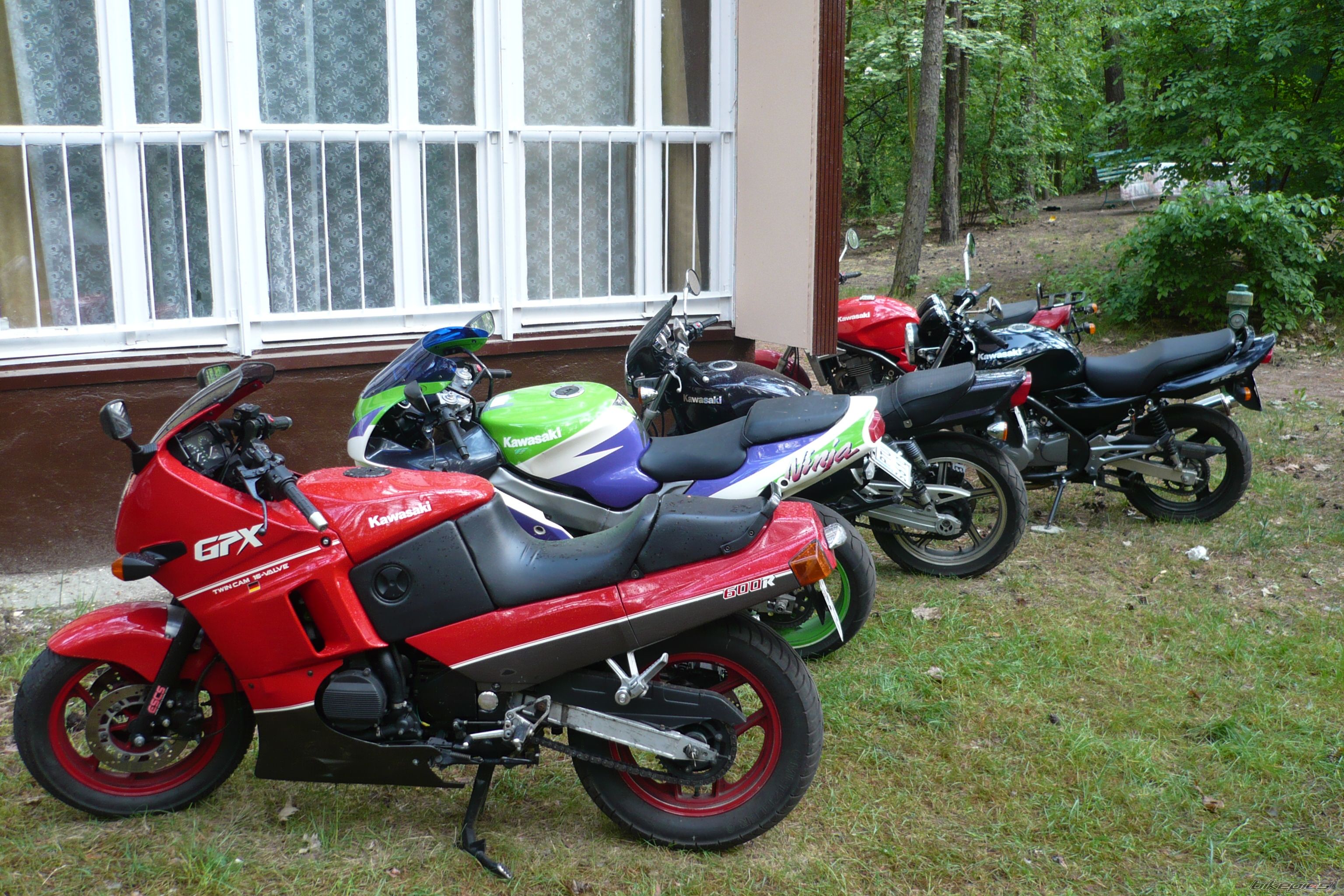 Photo 1332530