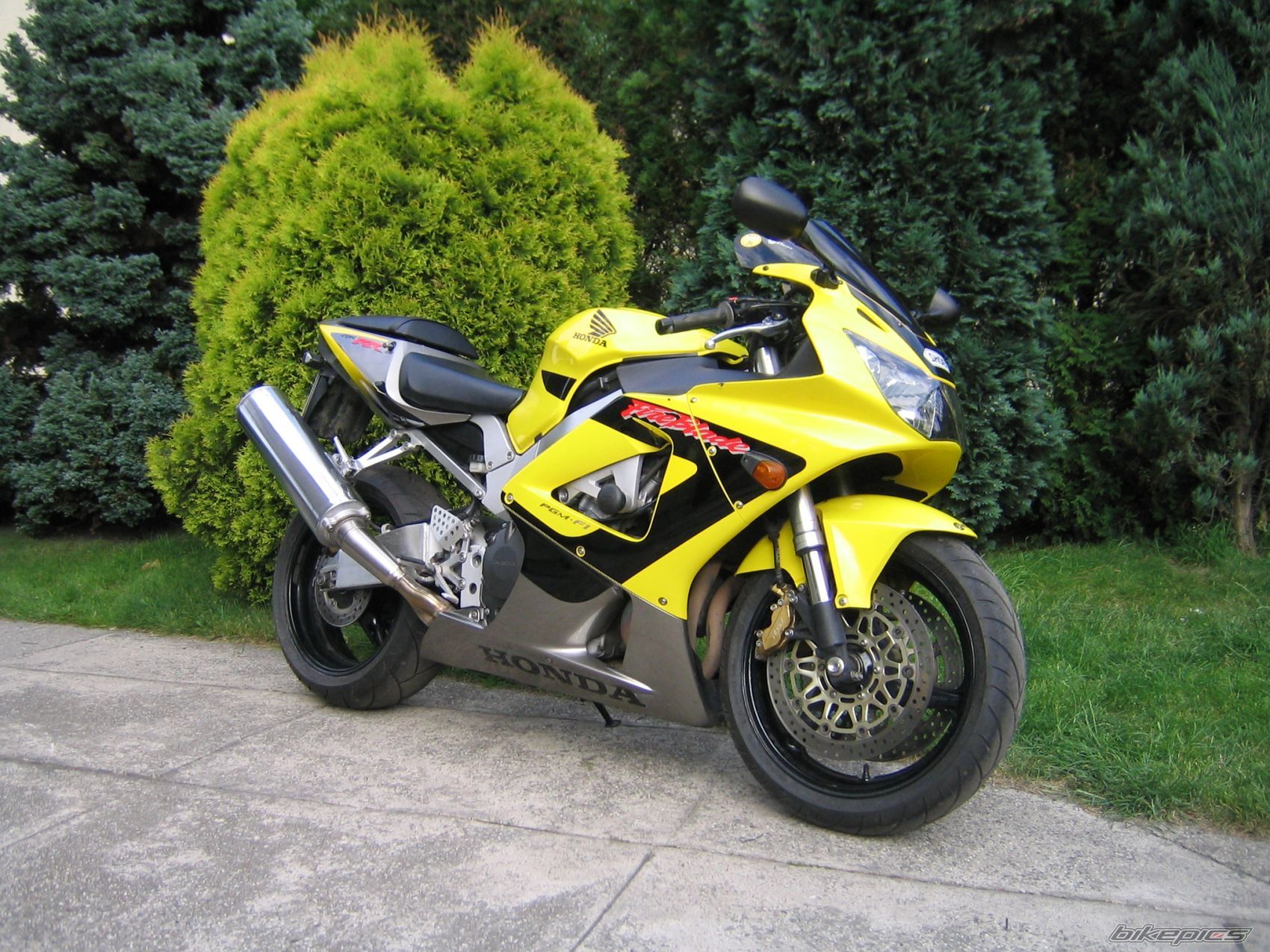 Photo 1332565