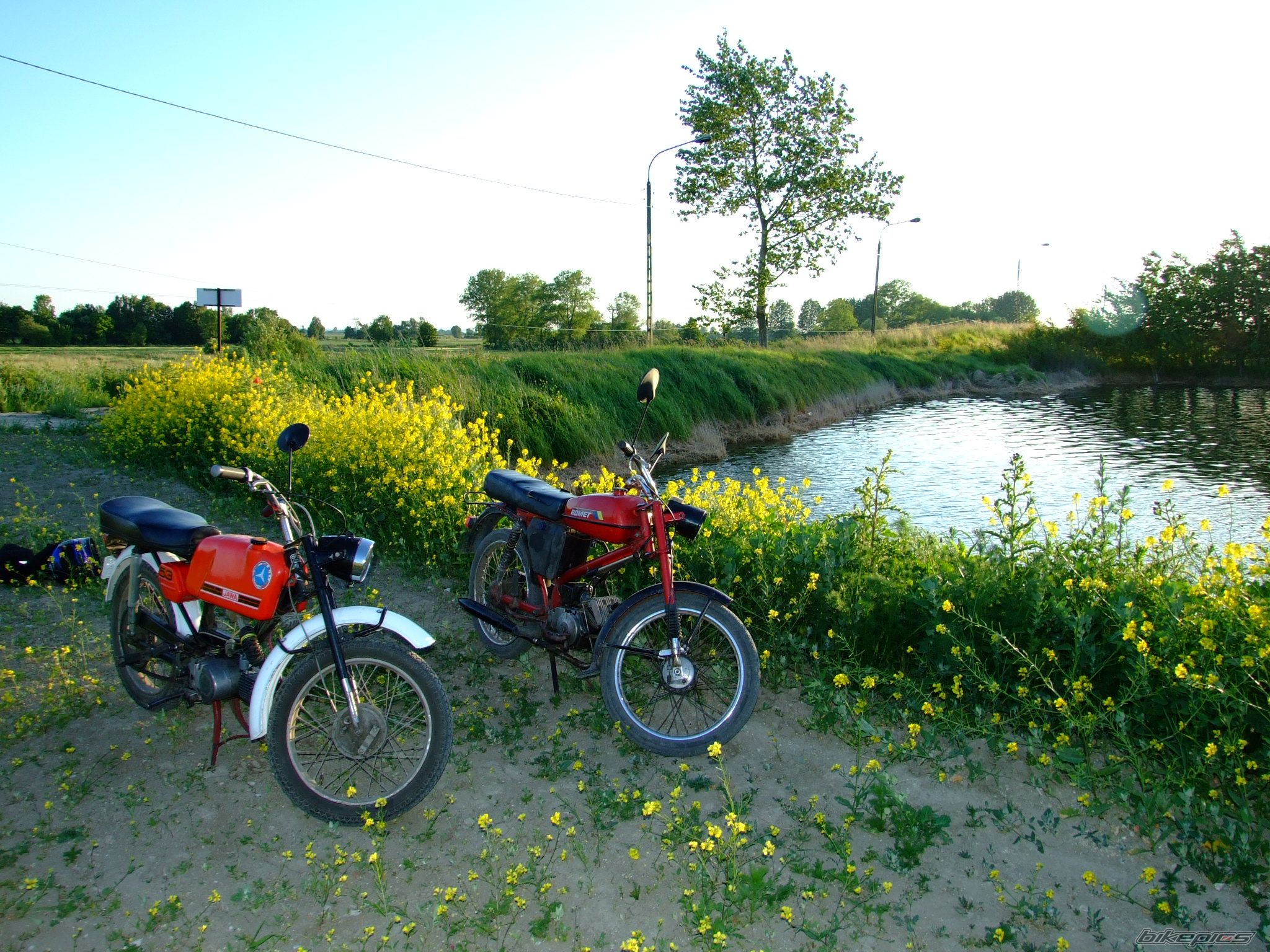 Photo 1332587