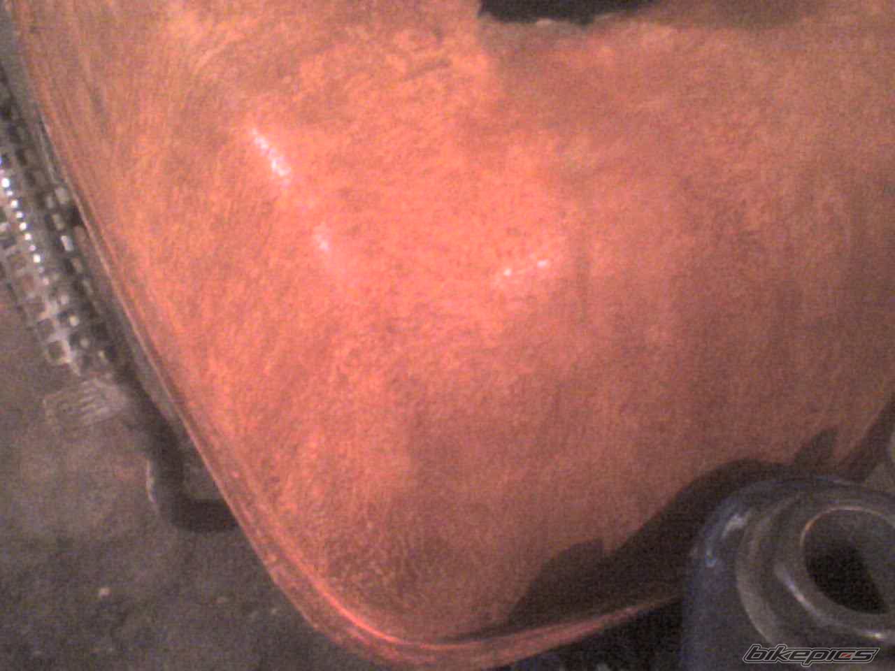Photo 1332655