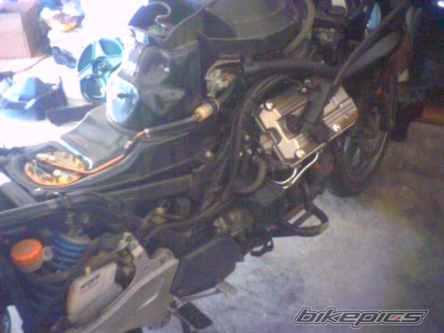 Photo 1332824