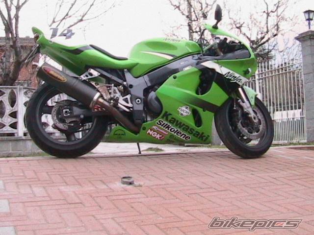 Photo 133284