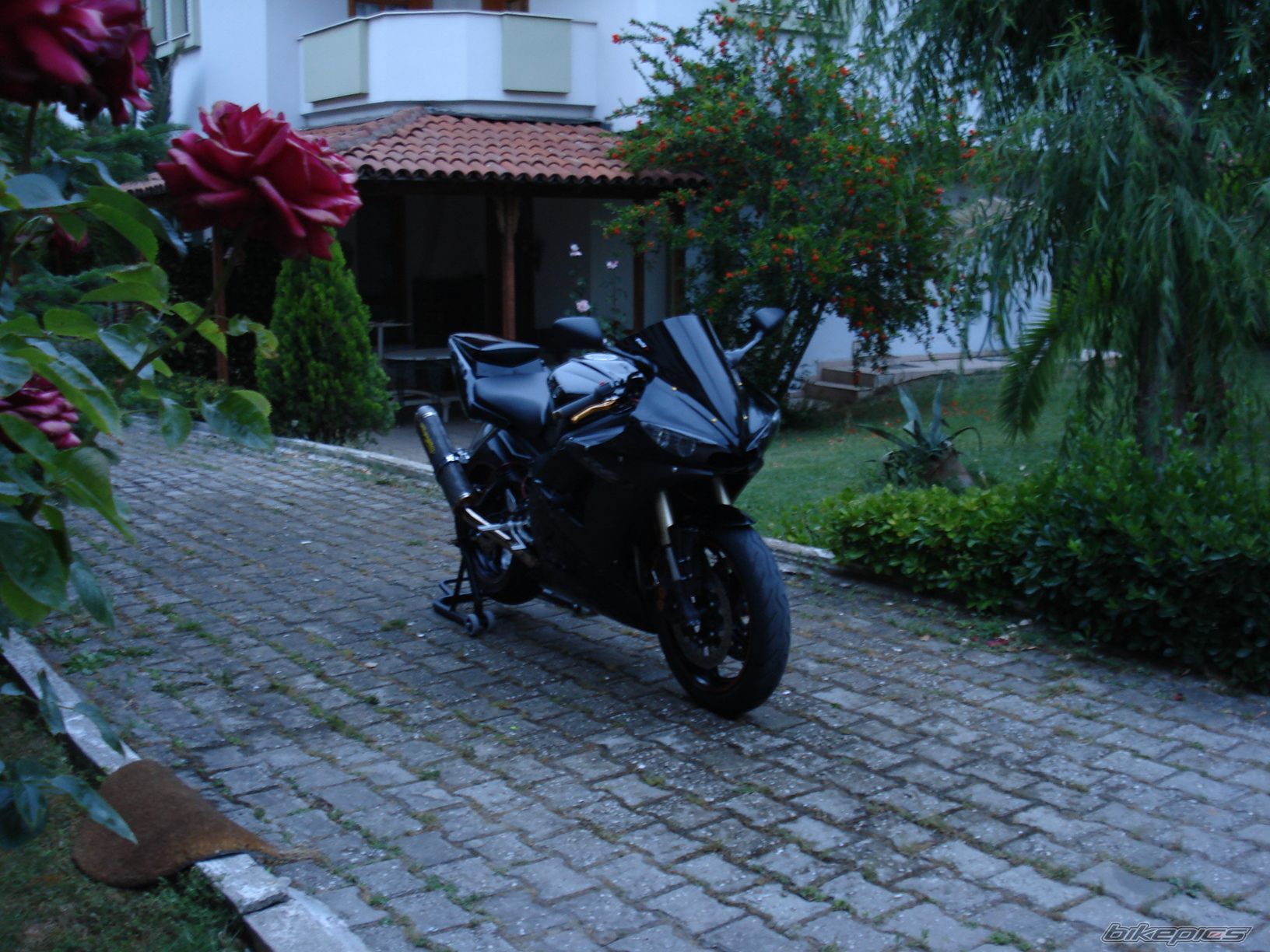 Photo 1332857