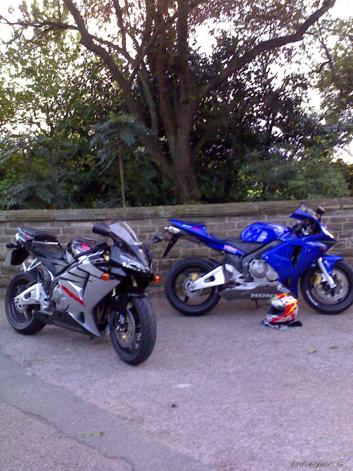 Photo 1332880