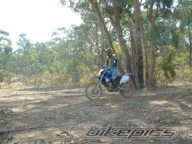 Photo 133292