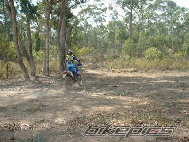 Photo 133293