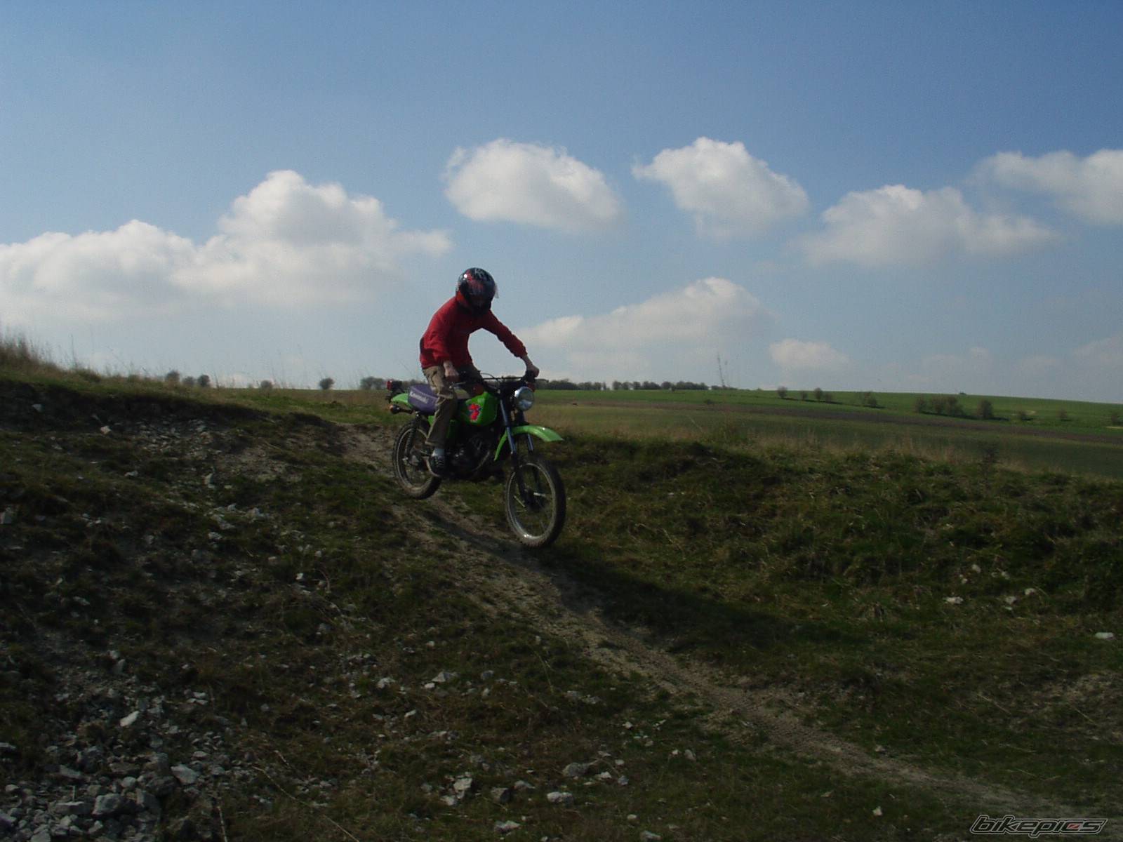 Photo 133295