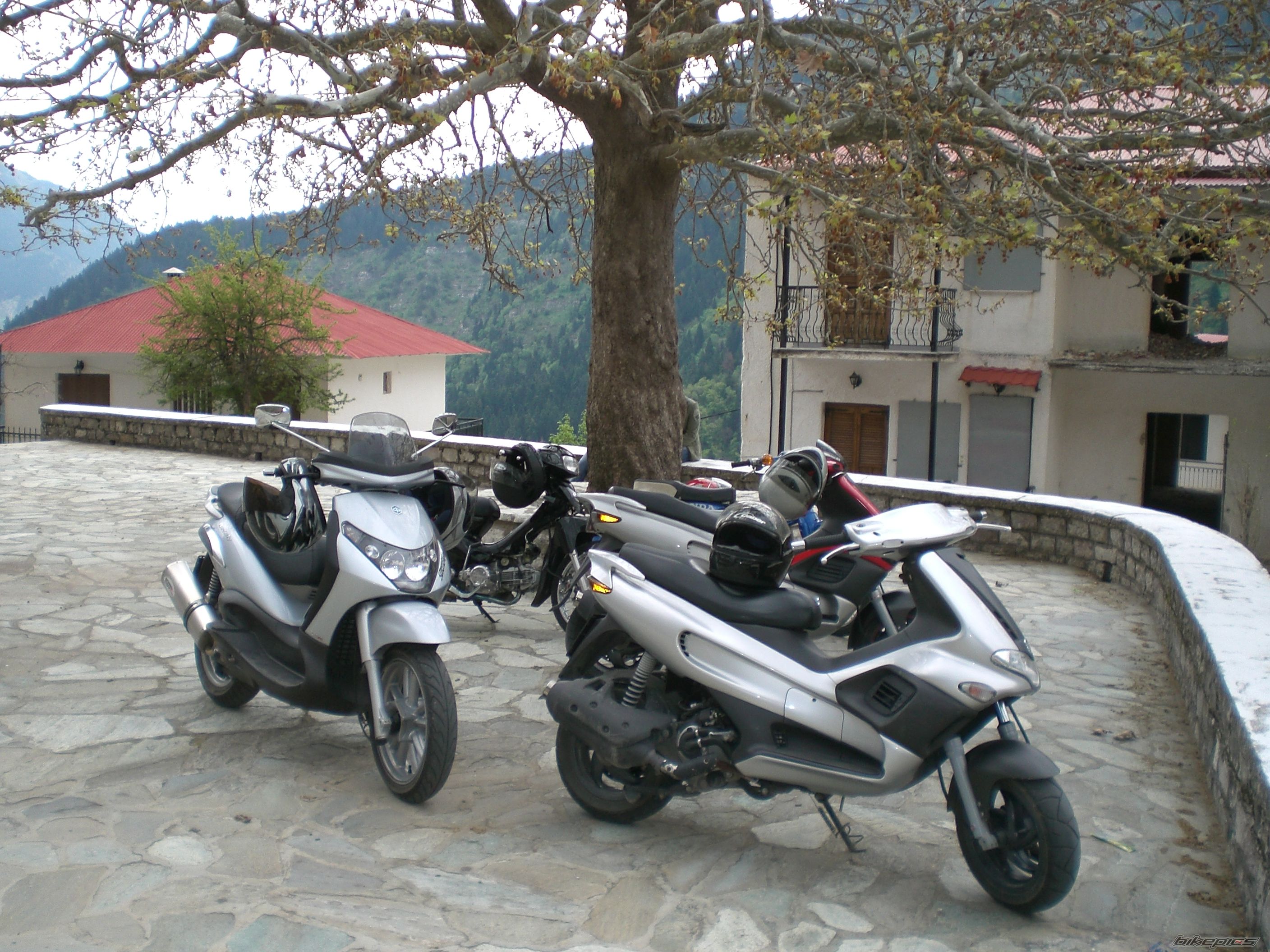 Photo 1333180