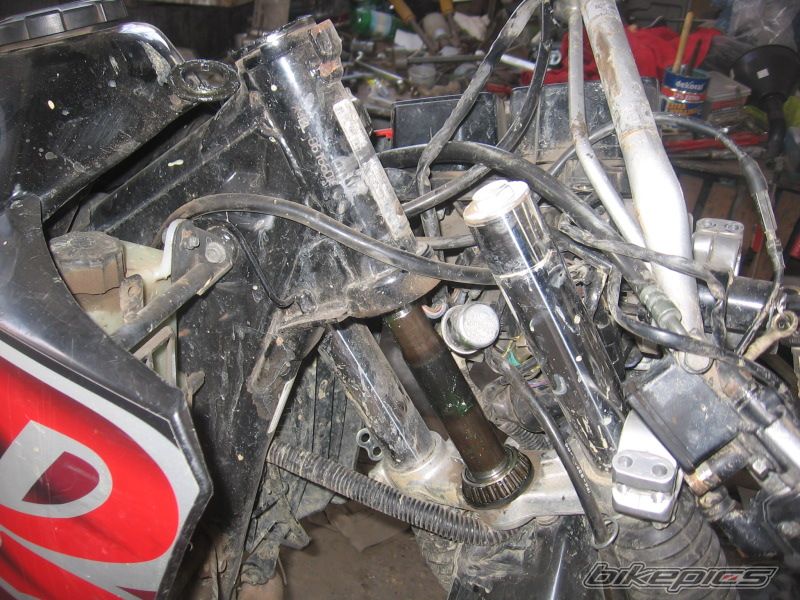 Bike Photo 1333187