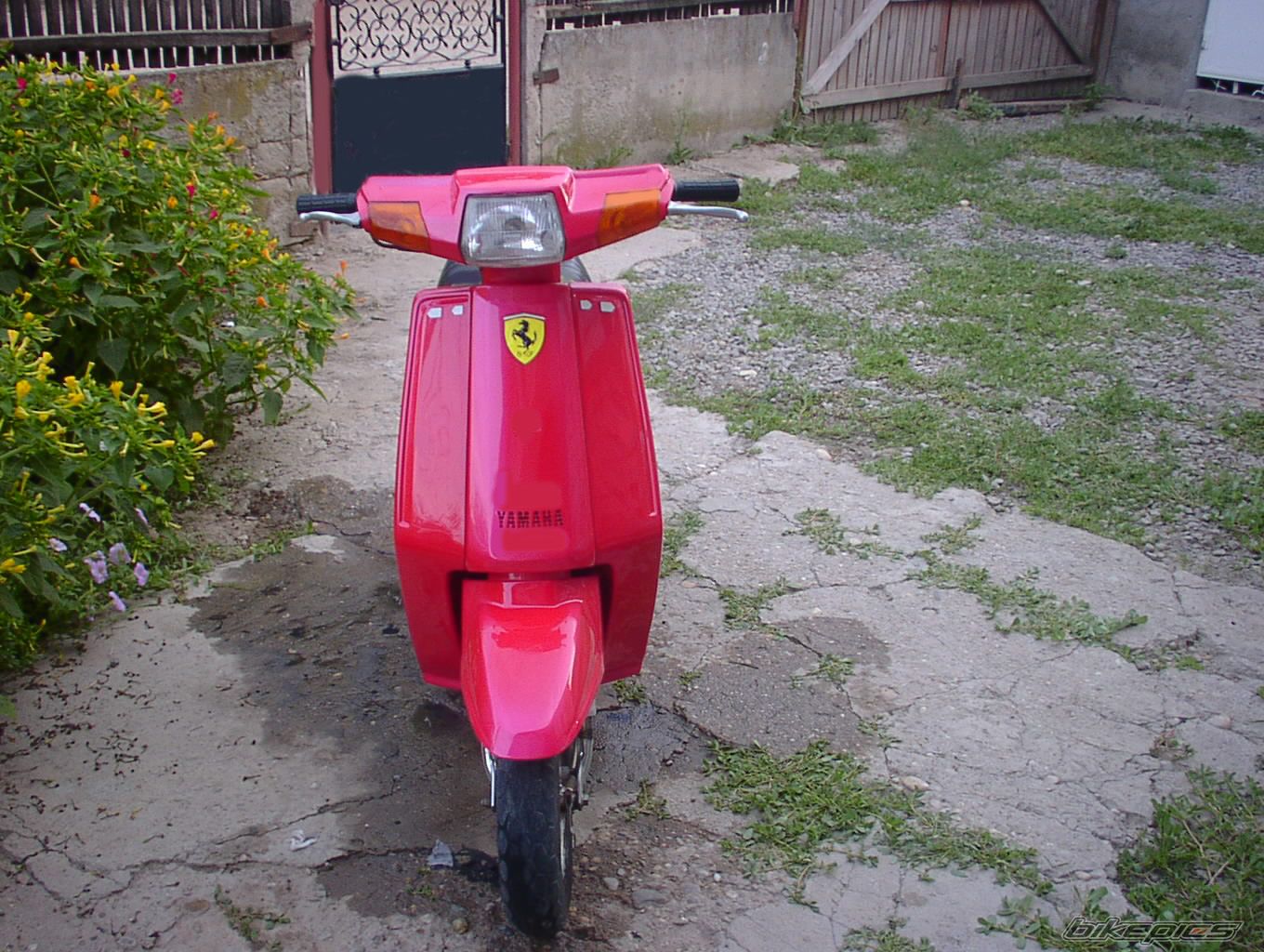 Photo 1333201