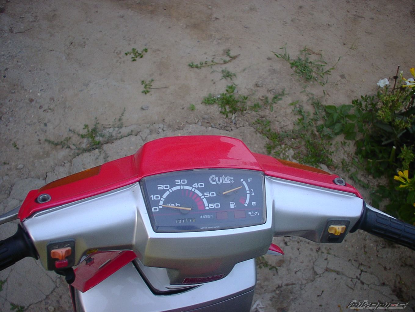 Photo 1333202