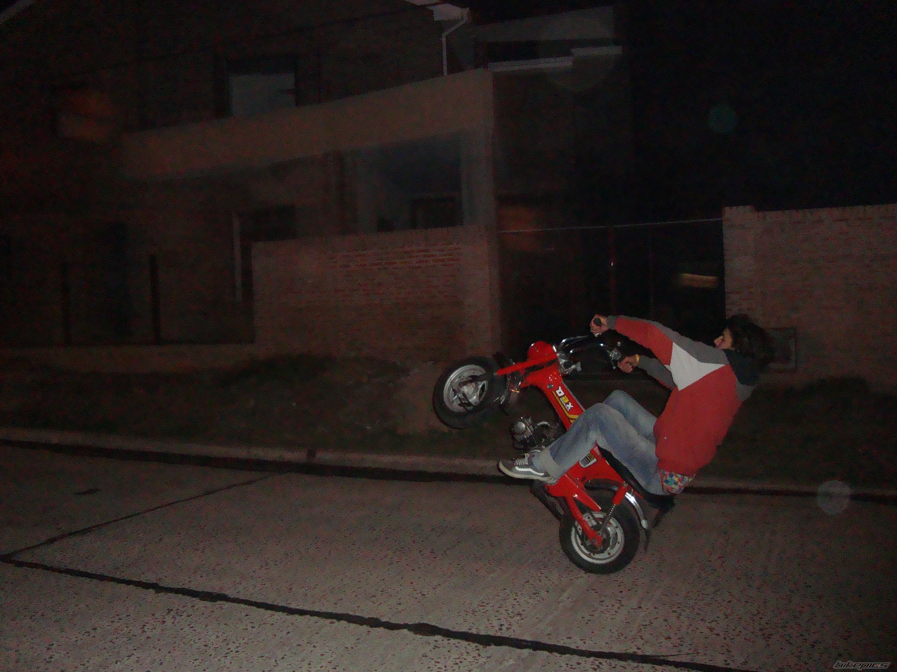 Photo 1333379