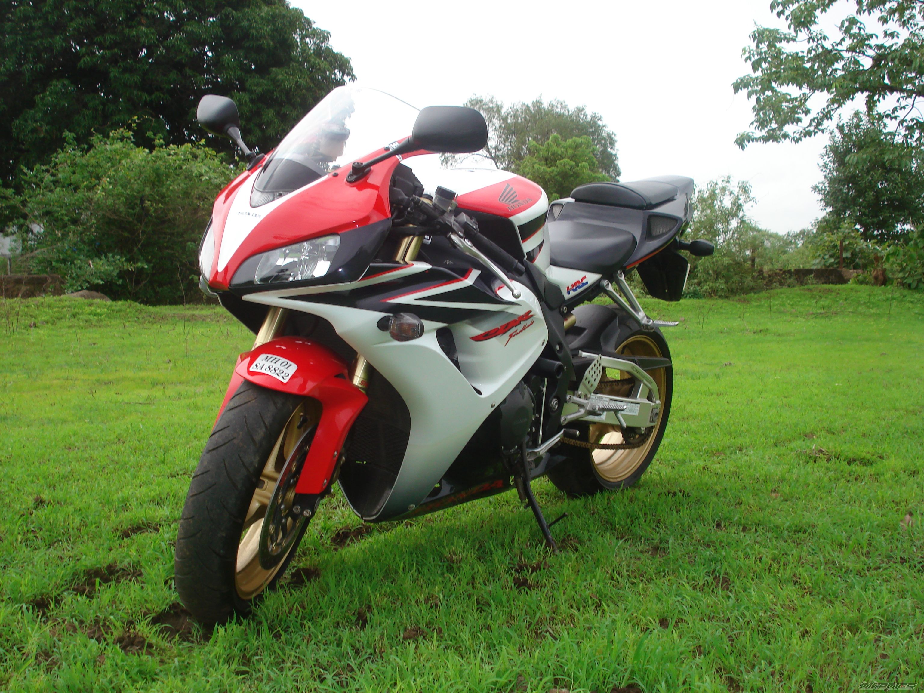 Photo 1333529
