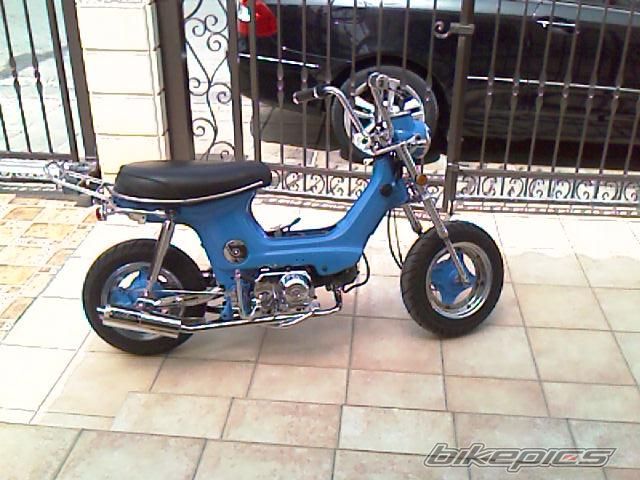 Photo 1333537