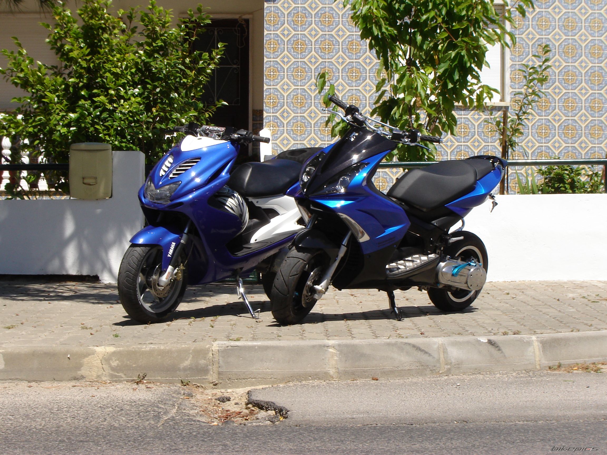 Photo 1333806