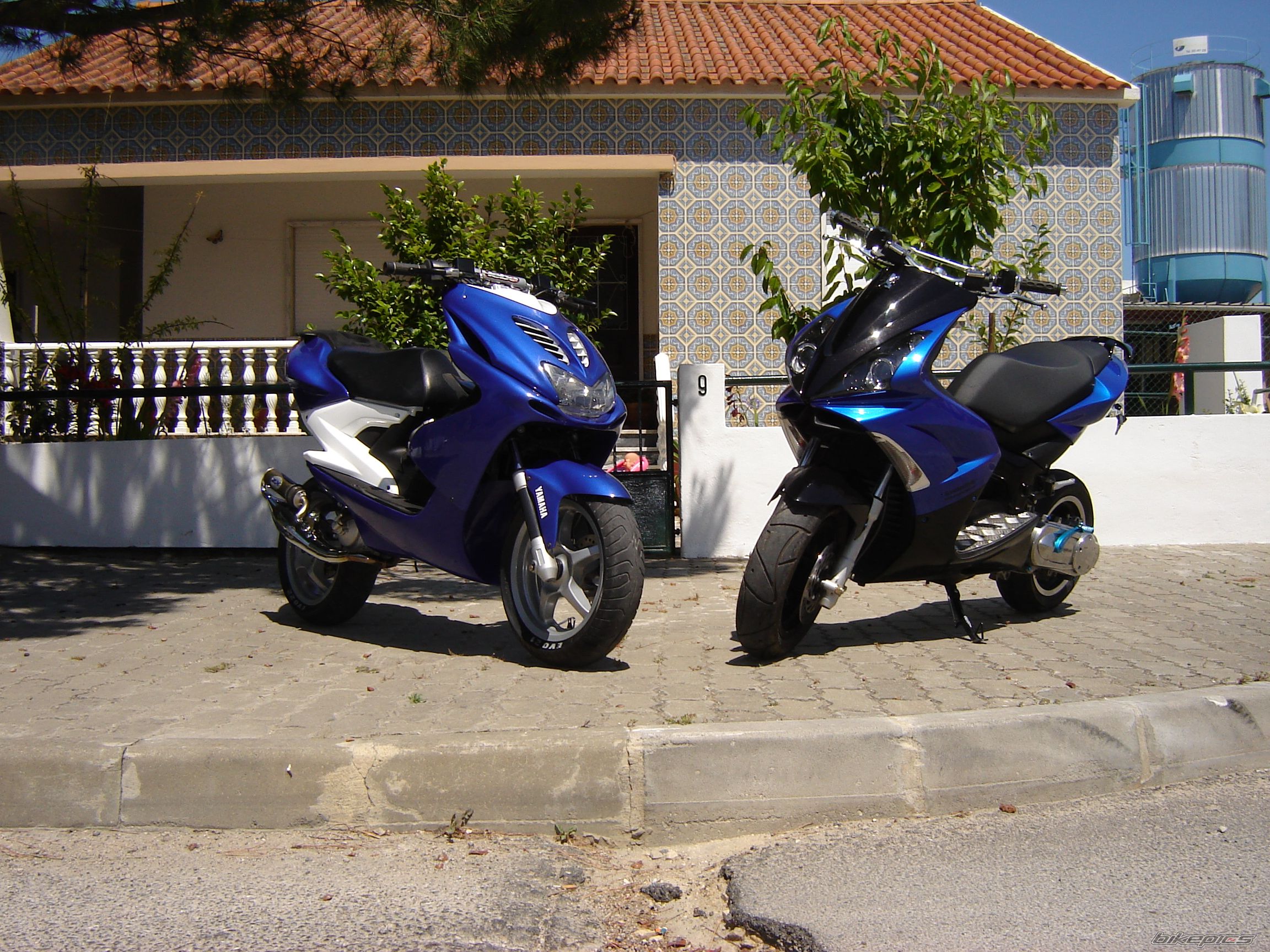 Photo 1333817