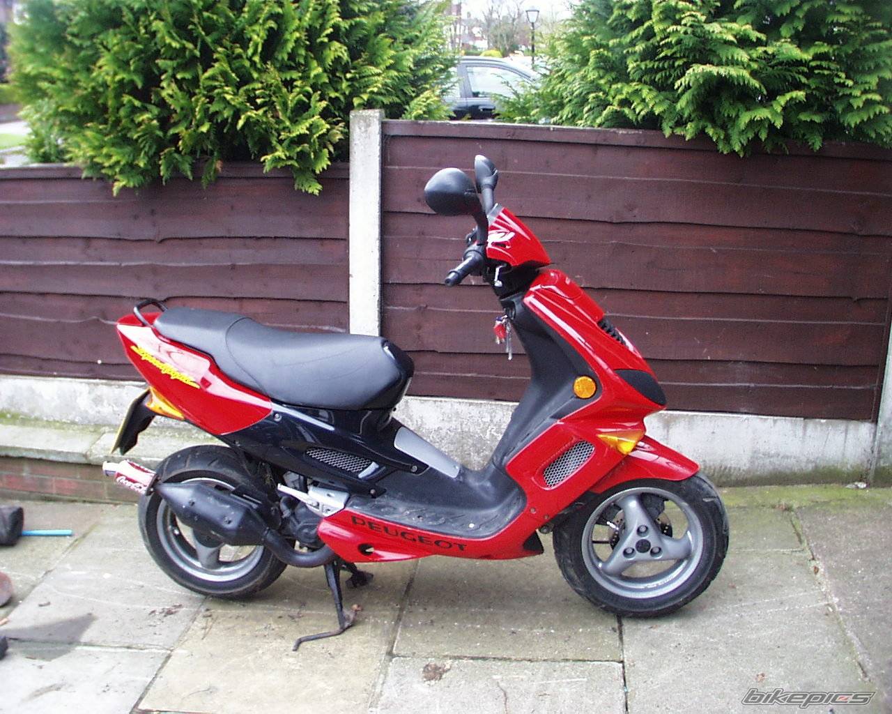 Photo 133392