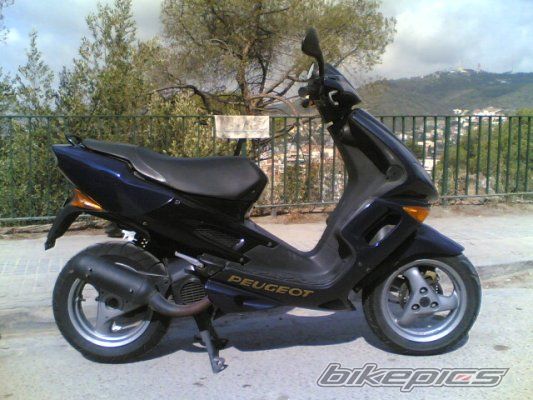 Photo 1333926