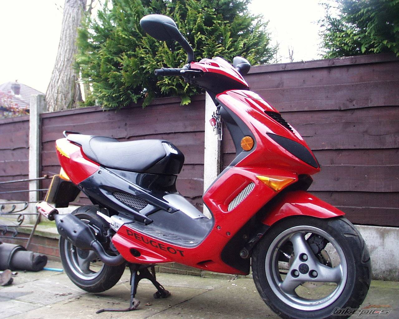 Photo 133393