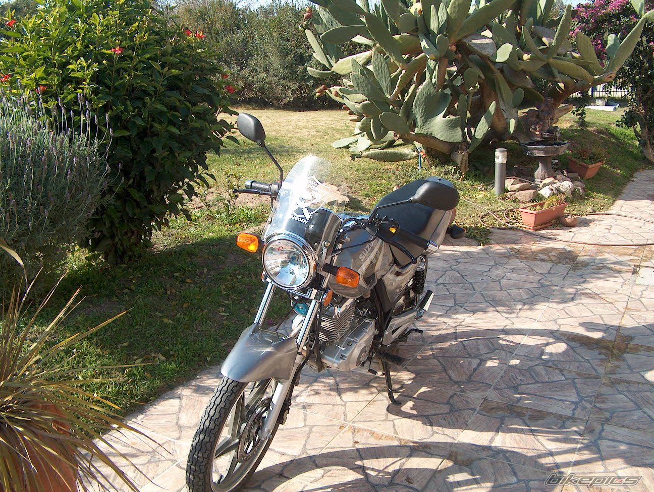 Photo 1334011