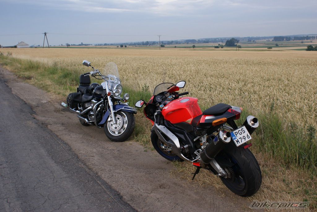 Photo 1334039